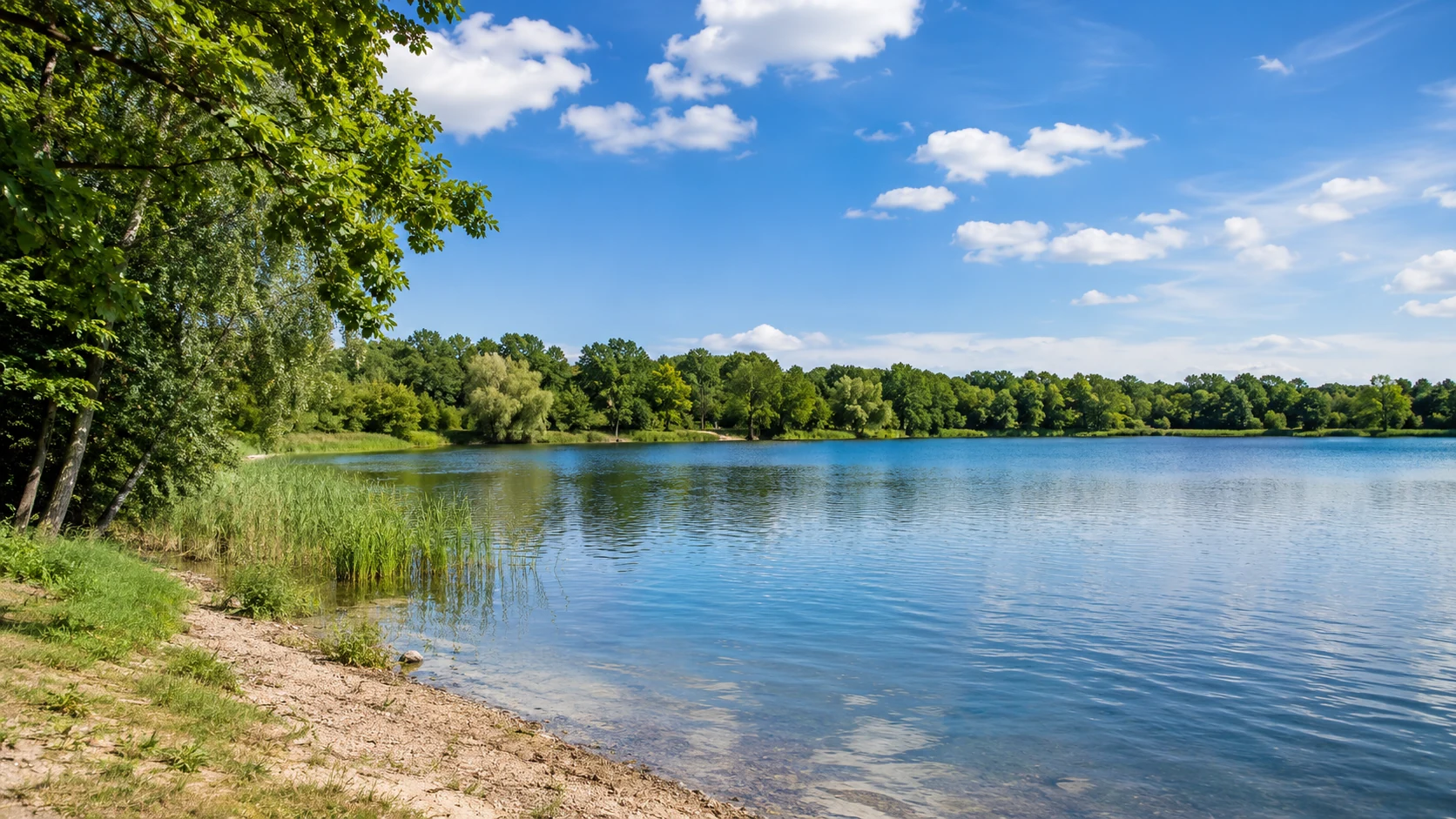 Hainbergsee bei Meuselwitz