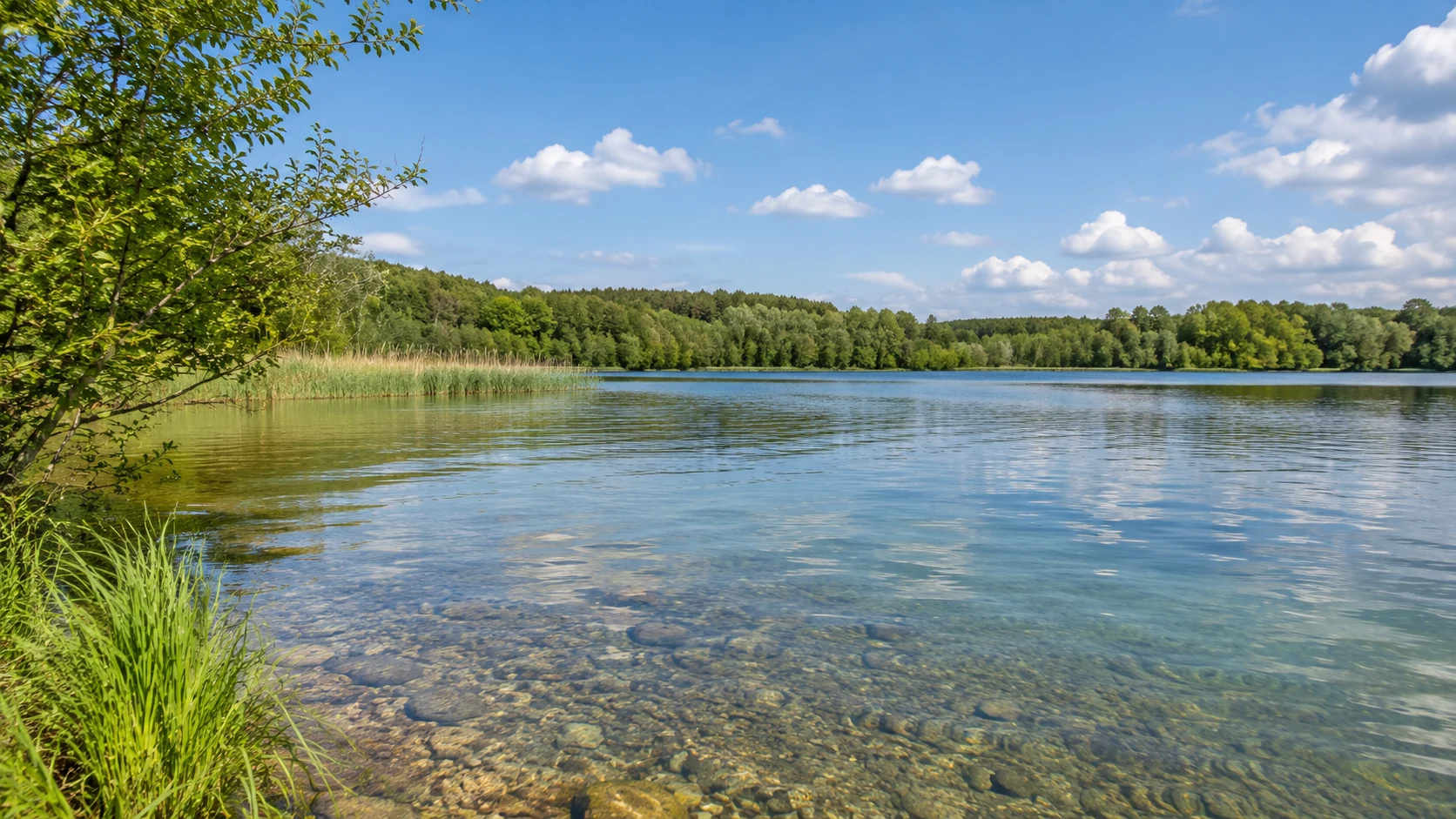 Haselbacher See